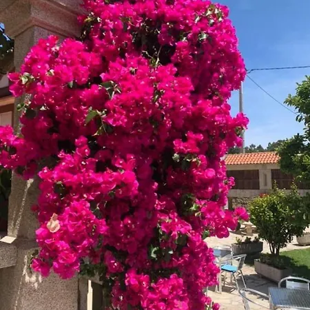 O Noso Bar Отель